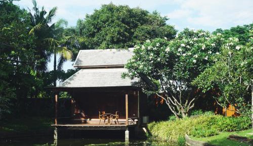 Queen Room with Pond and Pool View