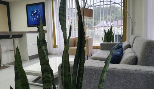 Deluxe Two Bedroom Apartment