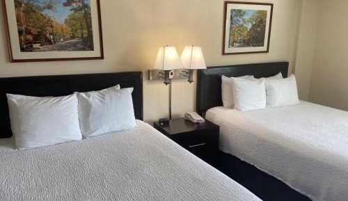 Queen Suite