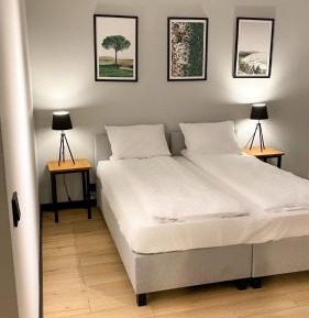 Large Double or Twin Room