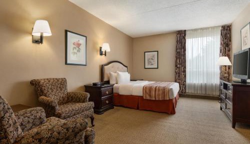 Queen Room - Pet Friendly/Non-Smoking