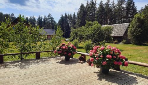 Economy Triple Room with Shared Bathroom