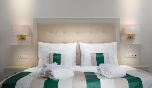 Superior Double or Twin Room with Wellness Access