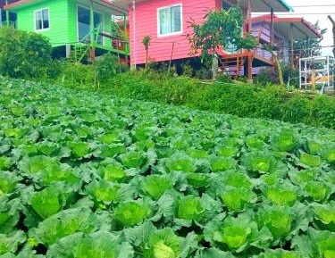 Single Room with Private Bathroom