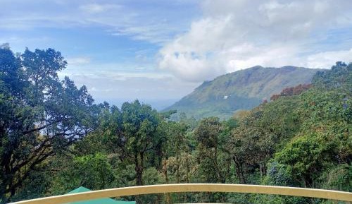 Mountain View Room