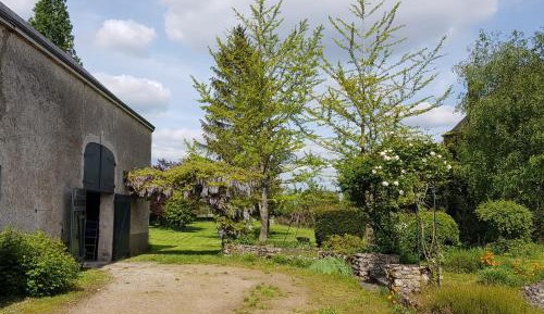 Deluxe Room (2 Adults + 1 Child)