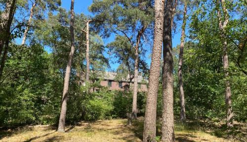 Comfort Double or Twin Room