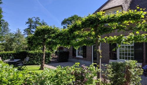 Triple Room with View