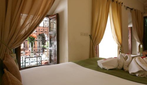 Nature Superior Triple Room