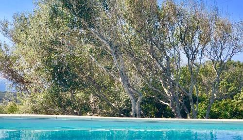 Villa with Sea View and Private Pool