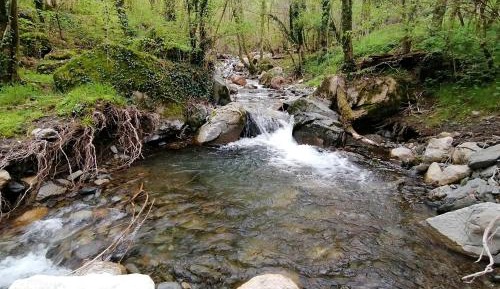Apartment with Mountain View