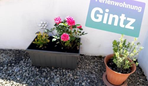 Apartment with Terrace