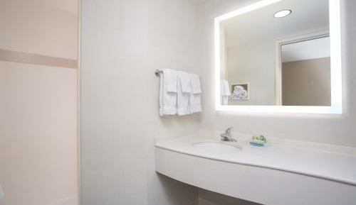 King Room with Roll-In Shower - Disability Access