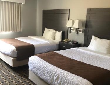 Double Room - Non-Smoking 