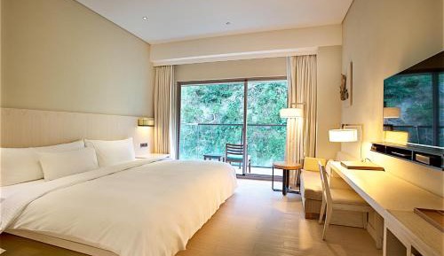 Double Room with Mountain View