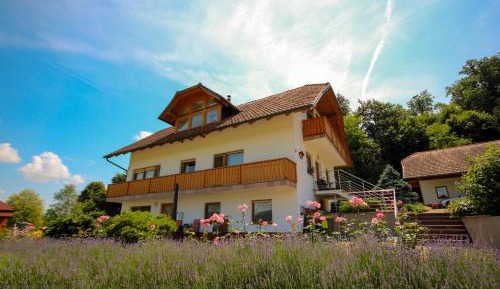 Apartment with Mountain View