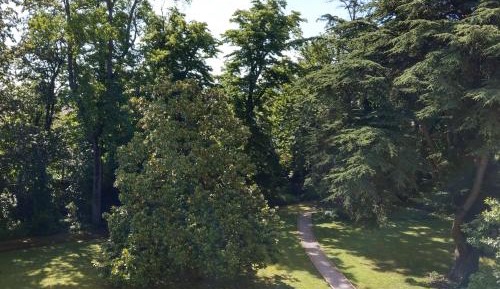 Deluxe Double Room with Shower