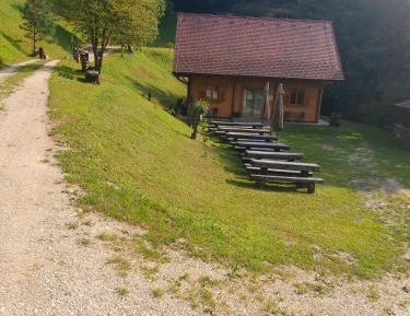 Apartment - Split Level