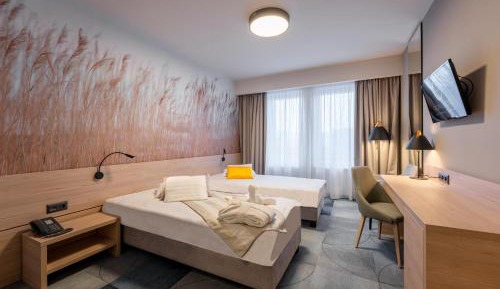 Superior Double or Twin Room