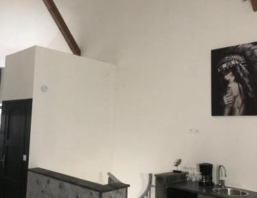 Studio with Garden View