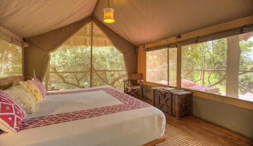 Tent