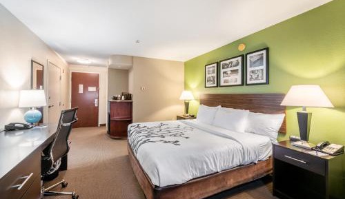 King Room - Non-Smoking