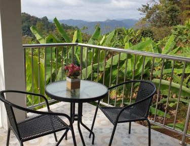 Double Room with Terrace