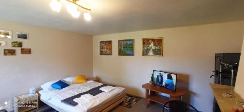 One-Bedroom House