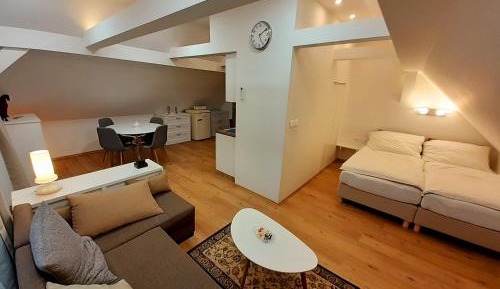 Superior Apartment