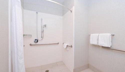 King Room Hearing Accessible with Roll-In Shower