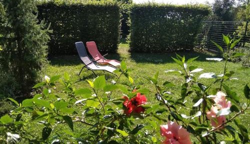 Basic Triple Room with Shared Bathroom