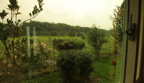 Double Room with Shower