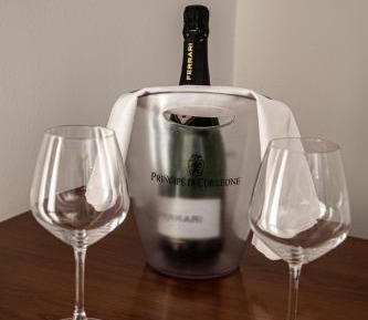 Superior Double or Twin Room