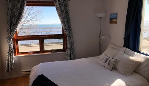 Queen Room with Sofa Bed