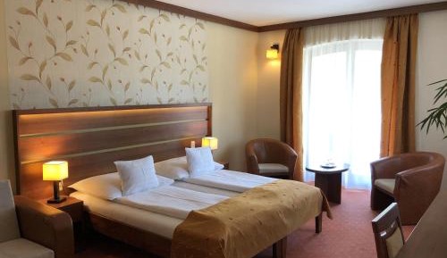 Superior Double or Twin Room