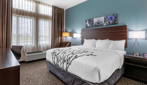 King Room - Non-Smoking