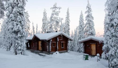 Two-Bedroom Chalet