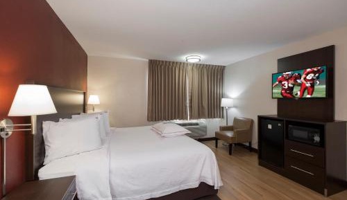 Premium King Room Smoke Free