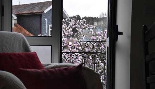 Double or Twin Room with Private Bathroom