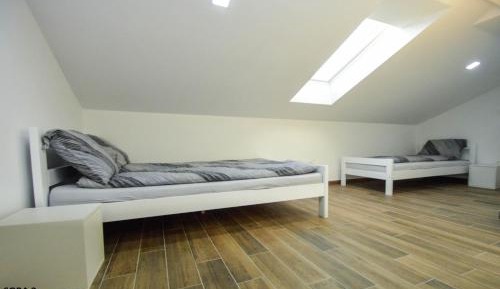 Basic Triple Room with Shared Bathroom
