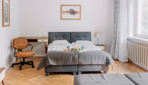 Deluxe Apartment