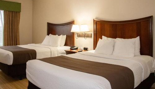 Queen Room with Two Queen Beds - Non-Smoking