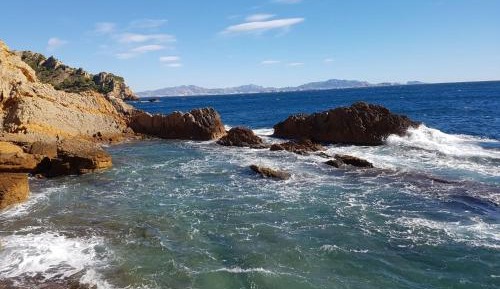 Studio with Pool View