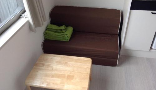 Apartment with Loft [101]