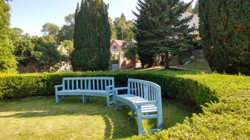 Studio with Garden View