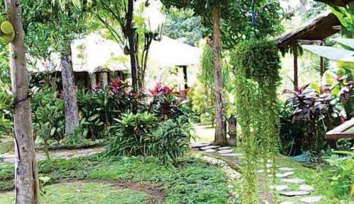 Double Room with Garden View