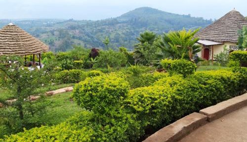 Suite with Mountain View