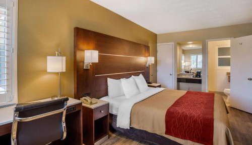 Deluxe Room, 1 King Bed, Non Smoking