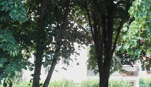 Twin Room with Shared Bathroom