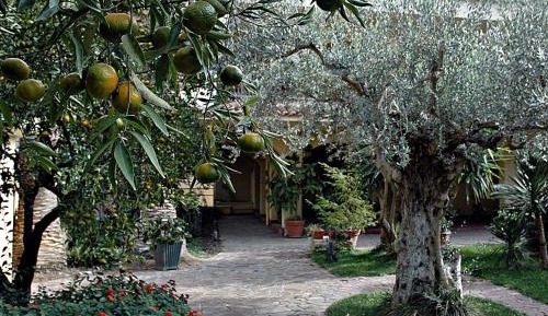 Apartment with Garden View